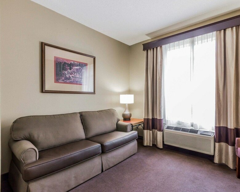 Hotel Comfort Suites Boone - University Area