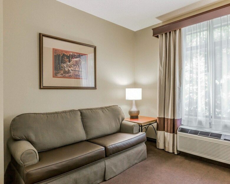 Hotel Comfort Suites Boone - University Area