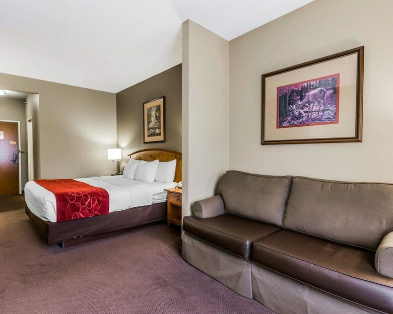 Hotel Comfort Suites Boone - University Area