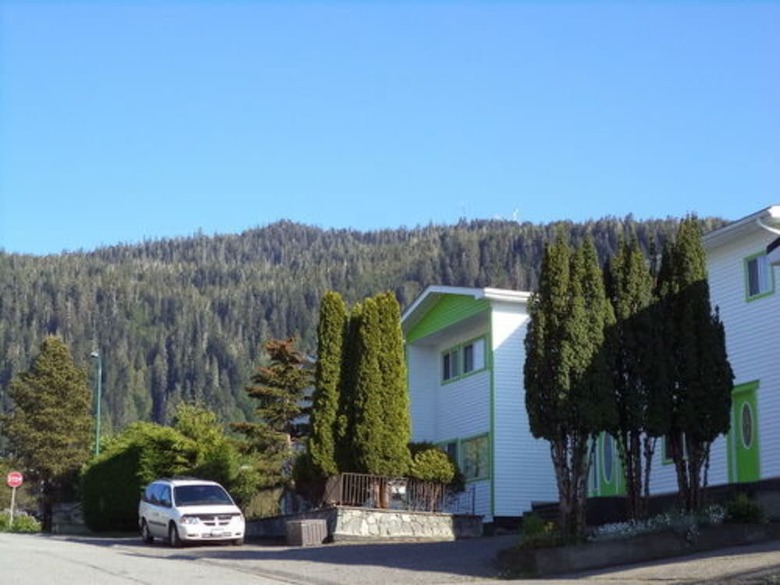 Hotel Enchanted Rainforest Guesthouse