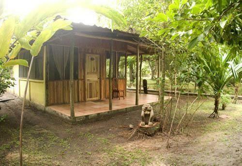 Hotel Turtle Beach Lodge