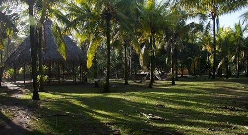Hotel Turtle Beach Lodge