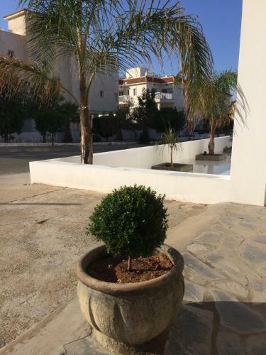 Aphentrika Apartments