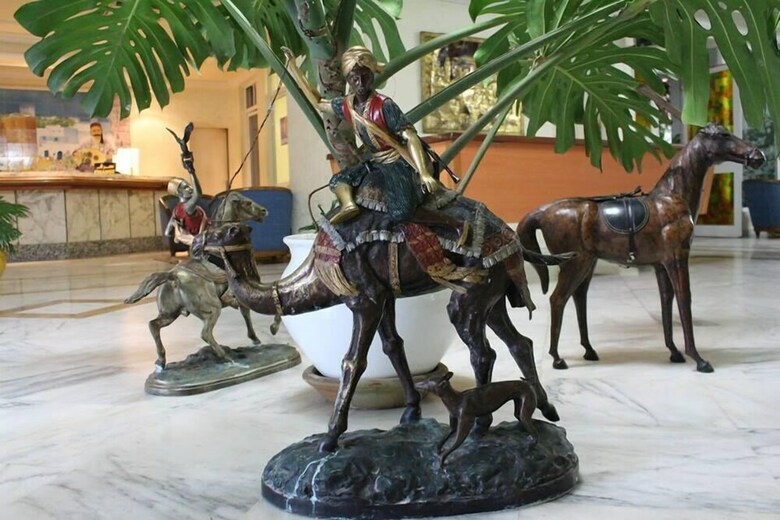 Hotel H�tel Sidi Salem