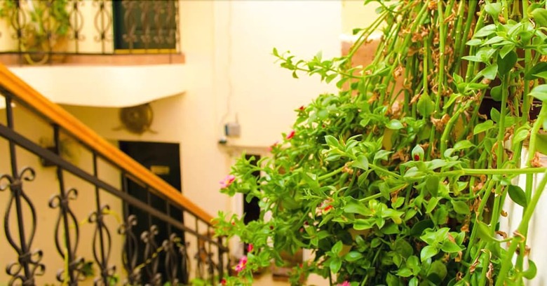Old City Inn Hotel