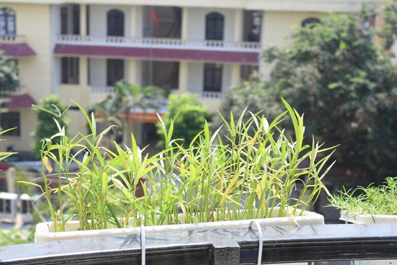 Apec Hotel