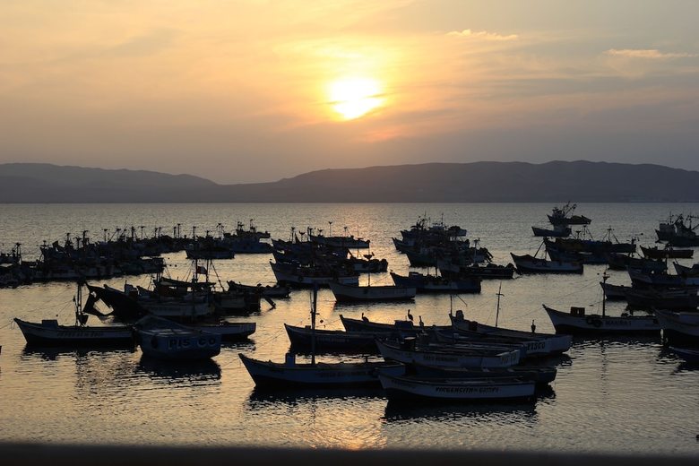 Hotel Bamboo Lodge Paracas