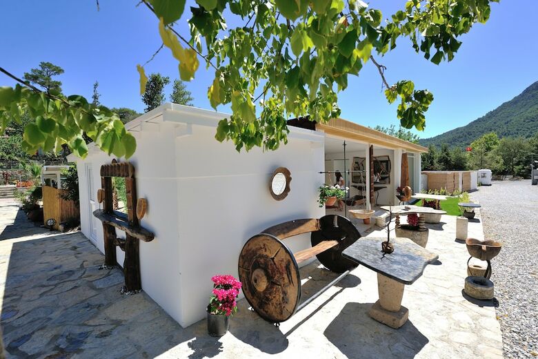 Hotel Pitahaya Home