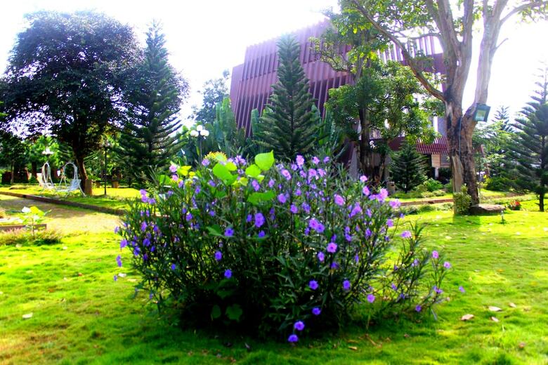 Hotel Coffee Tour Resort