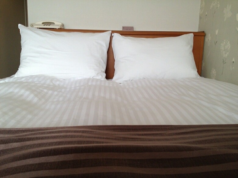 Tottori City Hotel