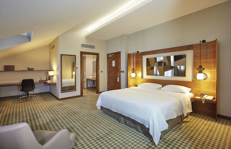 Hotel Anemon Ankara