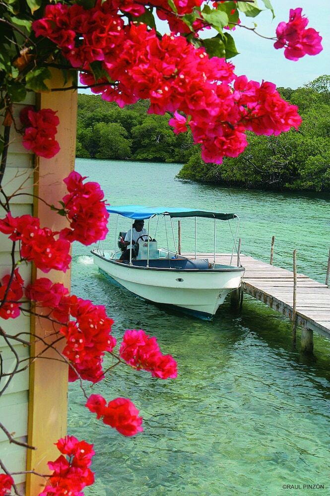 Posada Punta Caracol Acqua Lodge