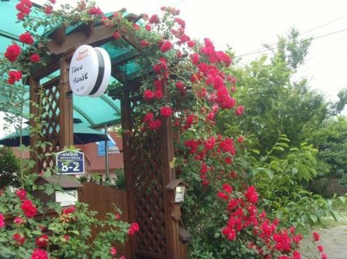 Hostal Tavo House