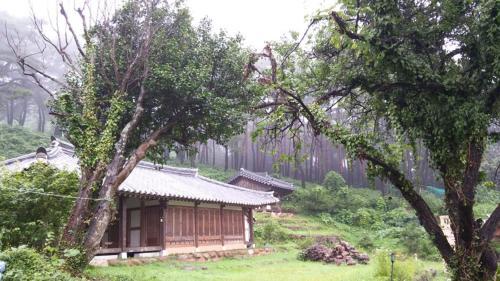Hostal Korean Traditional House - Chungnokdang