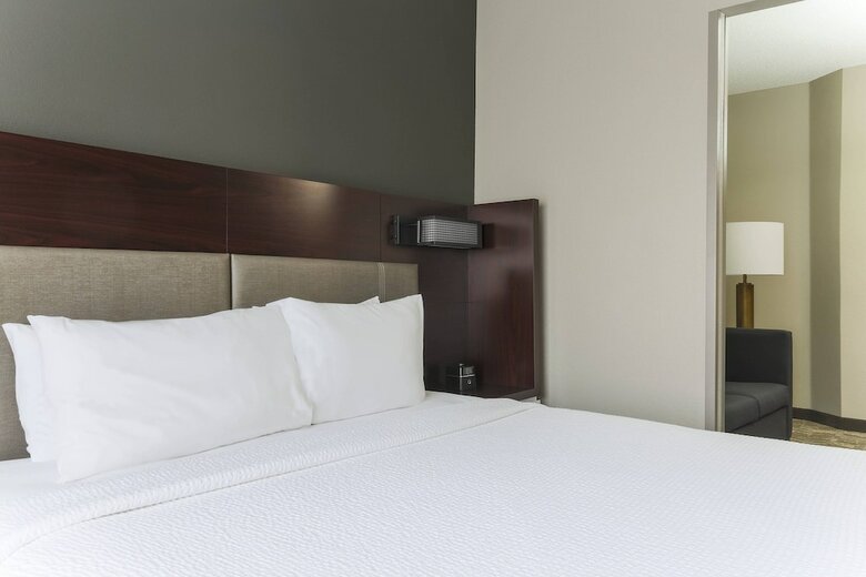 Hotel Springhill Suites By Marriott Austin Parmer/tech Ridge