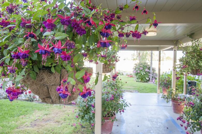 Hotel Rose Garden Inn San Luis Obispo