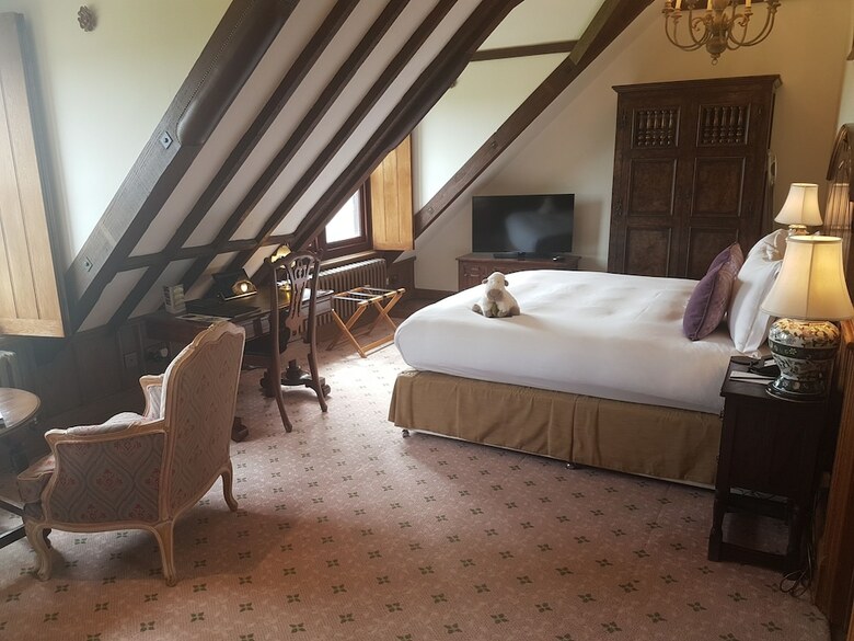 Hotel South Lodge