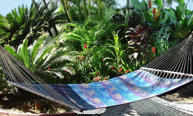 Bed & Breakfast Adventure In Paradise