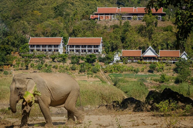 Hotel Sanctuary Pakbeng Lodge