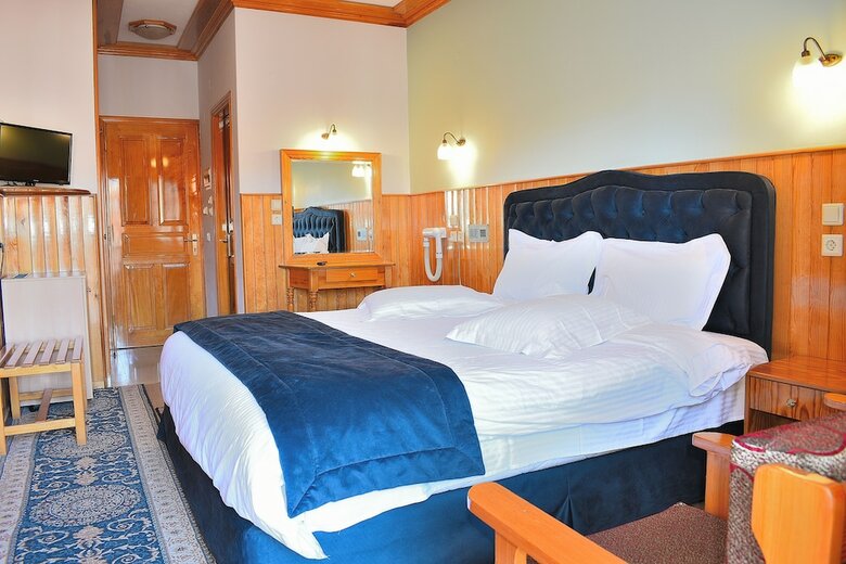 Hotel Asteri Metsovo