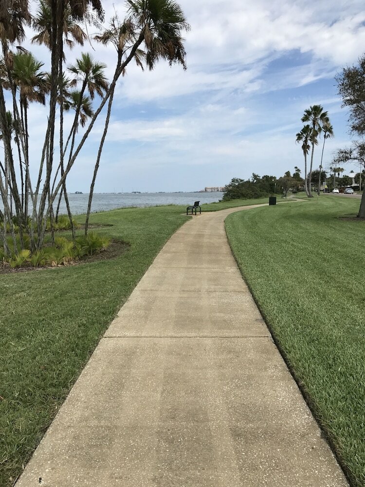 Hotel Comfort Suites Clearwater - Dunedin