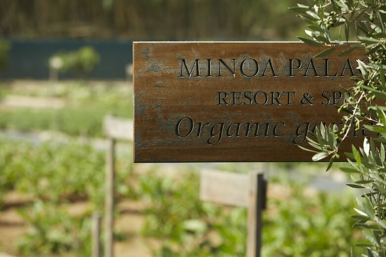 Hotel Minoa Palace Resort & Spa