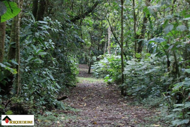 Posada Bosque De Paz