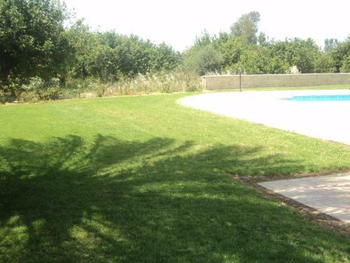 Citrus Grove Villa