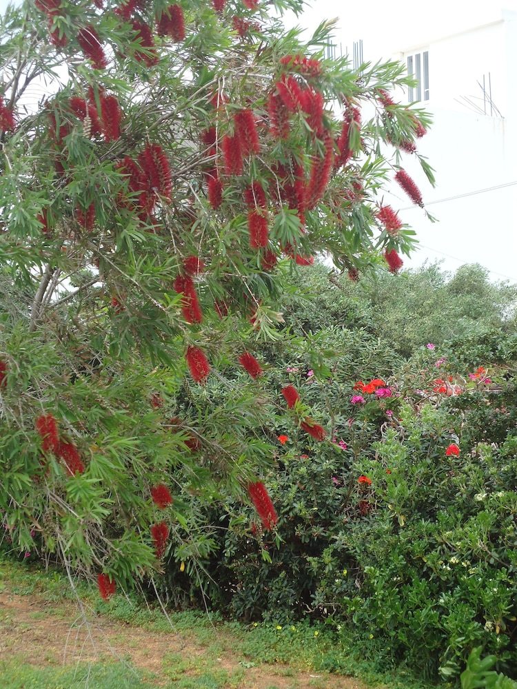 Aparthotel Portokali Apartments (12+)