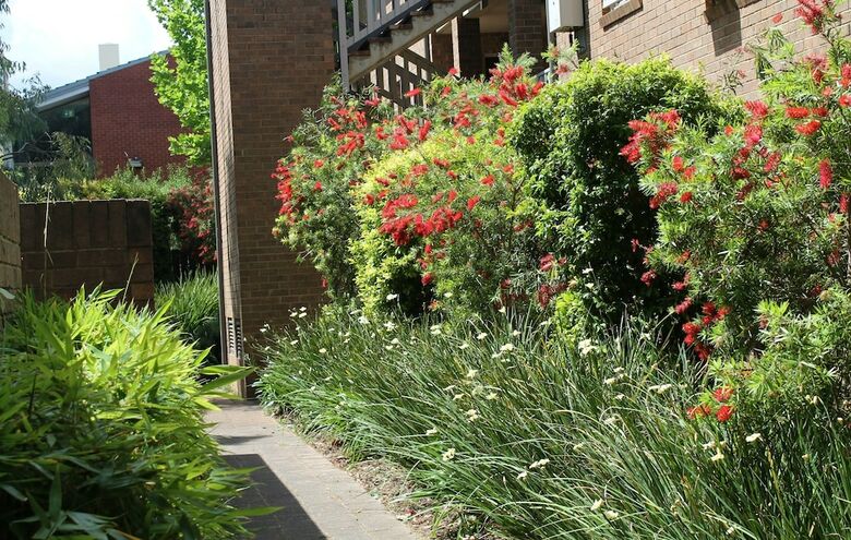 Adelaide Dresscircle Apartments - Archer Street