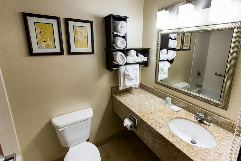 Hotel Comfort Suites