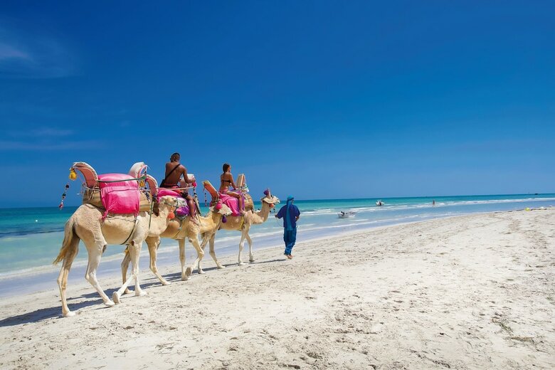 Hotel Djerba Plaza Thalasso & Spa