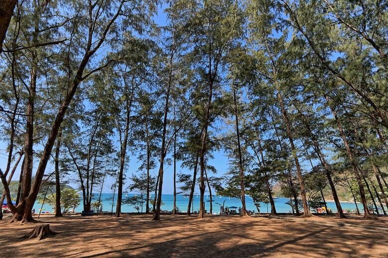 Apartamento Mangosteen Ayurveda & Wellness Resort