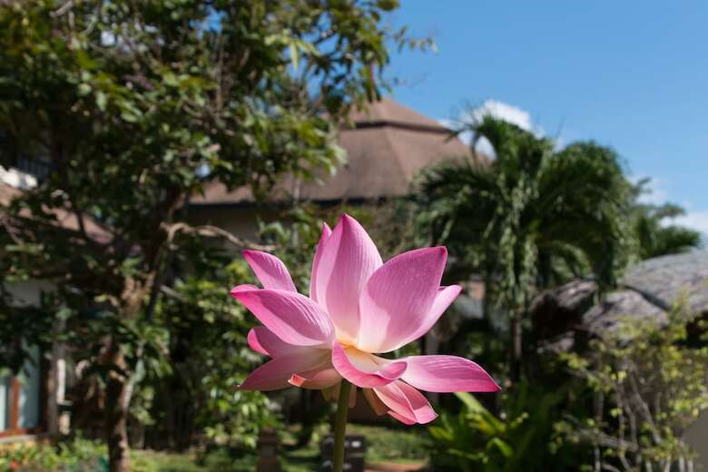 Apartamento Mangosteen Ayurveda & Wellness Resort