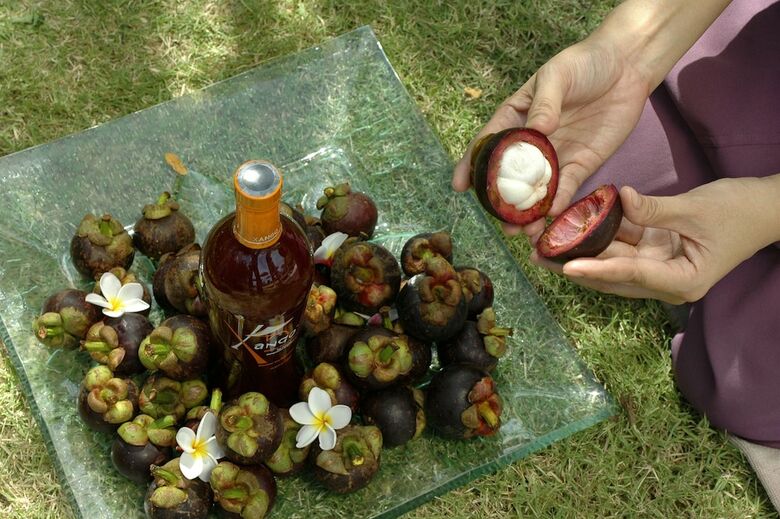 Apartamento Mangosteen Ayurveda & Wellness Resort