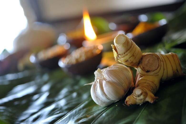 Apartamento Mangosteen Ayurveda & Wellness Resort