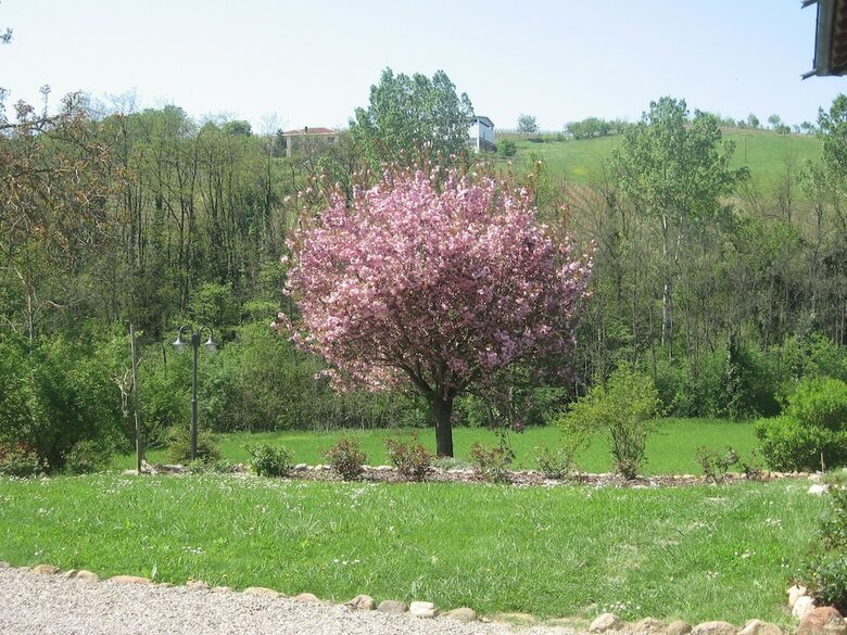 Agroturismo Agriturismo Cascina Tollu