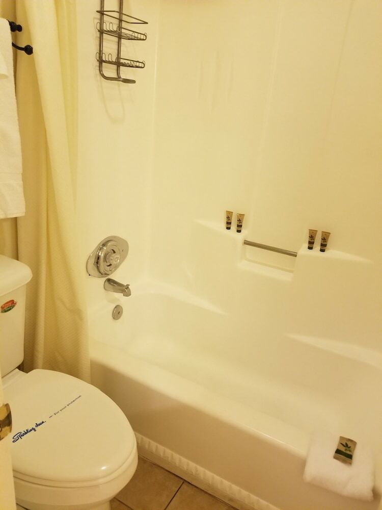 Hotel Fireside Lodge