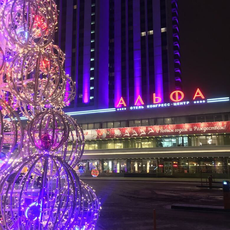 Izmailovo Alfa Hotel