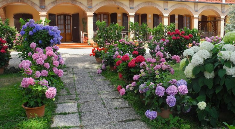 Hotel Le Renaie