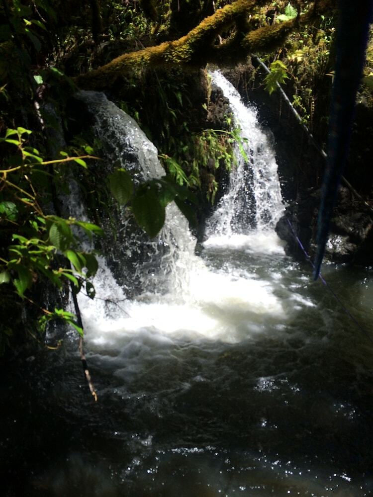 Hawaiian Hideaway At Akaka Falls