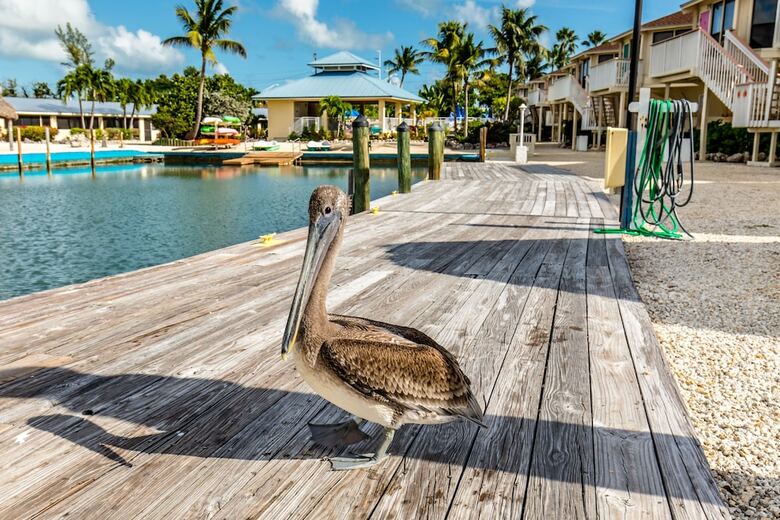 The Reef At Marathon By Capital Vacations