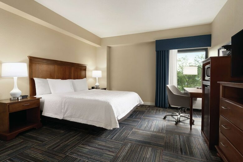 Hotel Hampton Inn Atlanta Stone Mountain