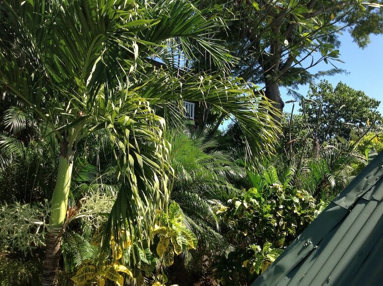 Hotel Tamarindo Village