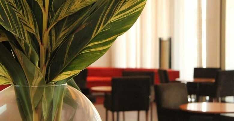 Hotel Next Flat Service - Mc Aparts