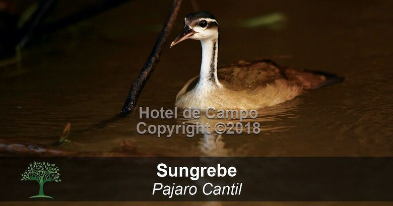 Hotel De Campo Ca�o Negro
