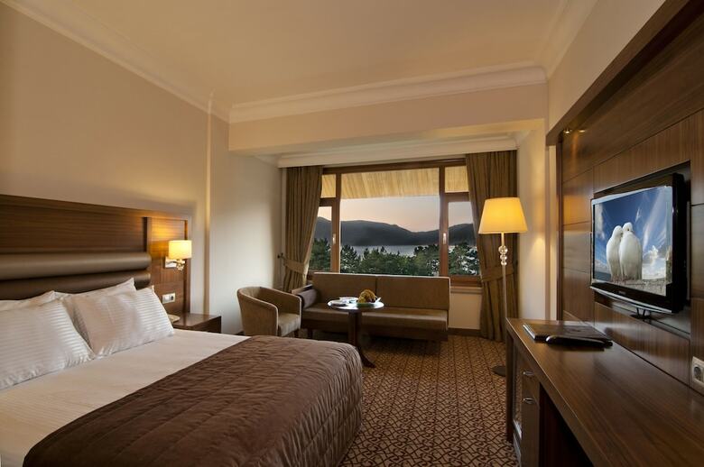 Hotel B�y�k Abant Oteli