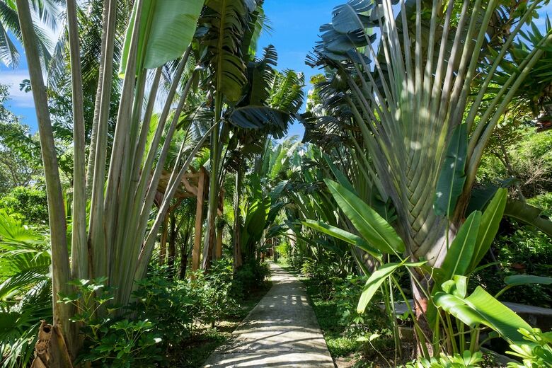 Hotel Coco Palm Beach Resort & Spa