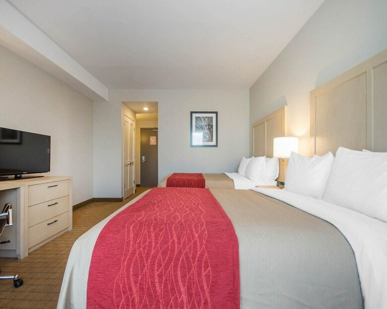 Hotel Comfort Inn & Suites