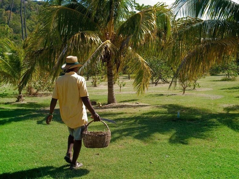 Hotel Firefly Plantation Bequia